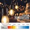 Newhouse Lighting Outdoor 48ft. LED Dimmable String Lights with Remote Control, 16 Bulbs CSTRINGLEDDIM - alternate 4
